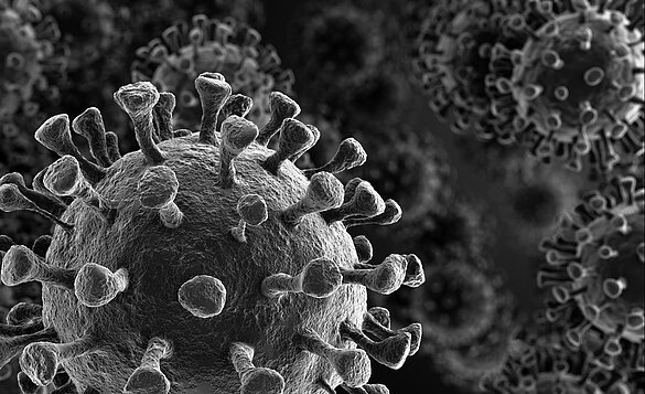 3D rendering of the coronavirus based on images taken with an electron microscope